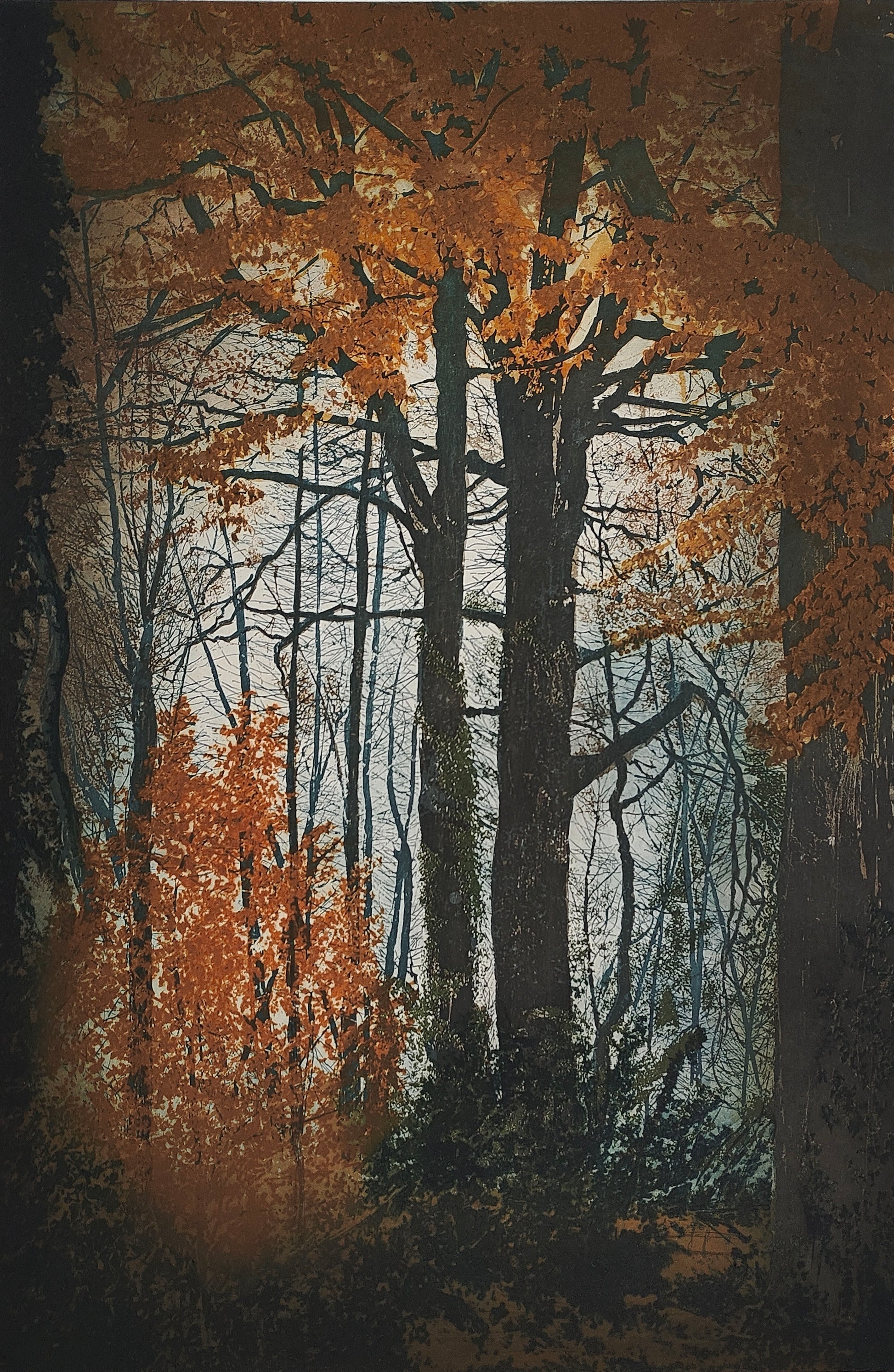 Robert Russell