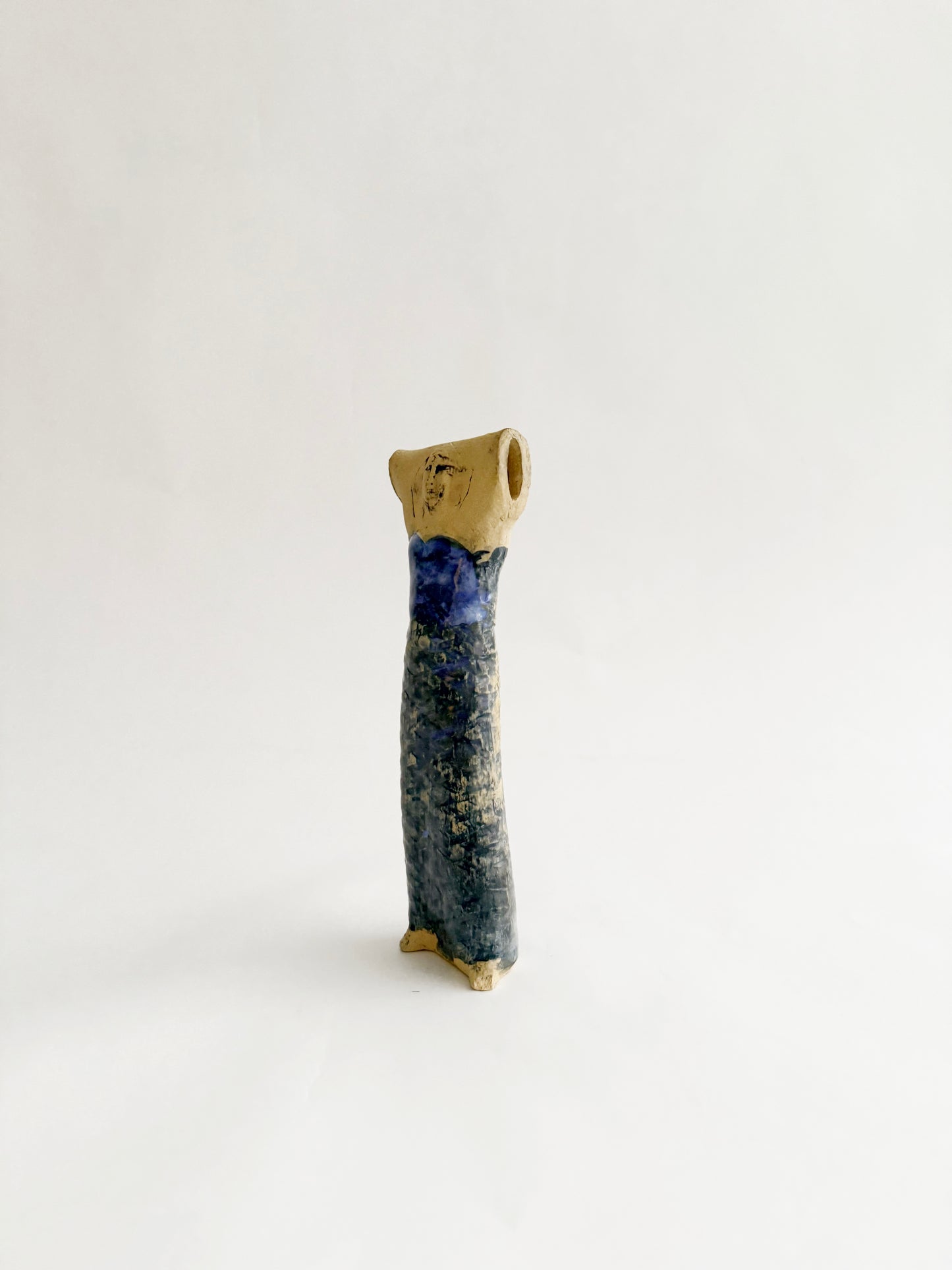 Lisa Larson