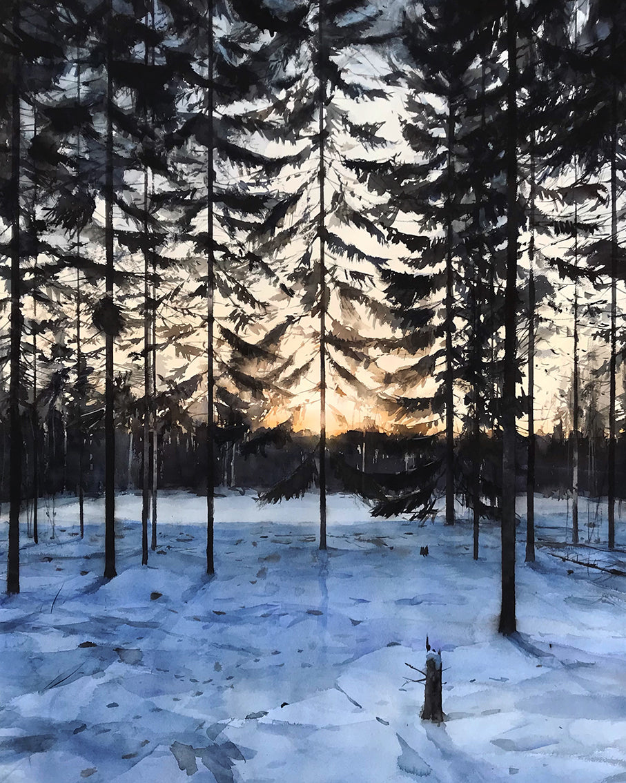 Magnus Petersson