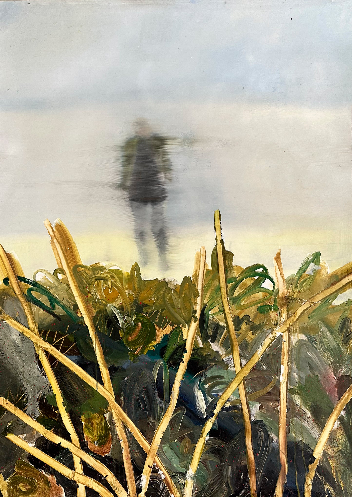 Lukas Cornix