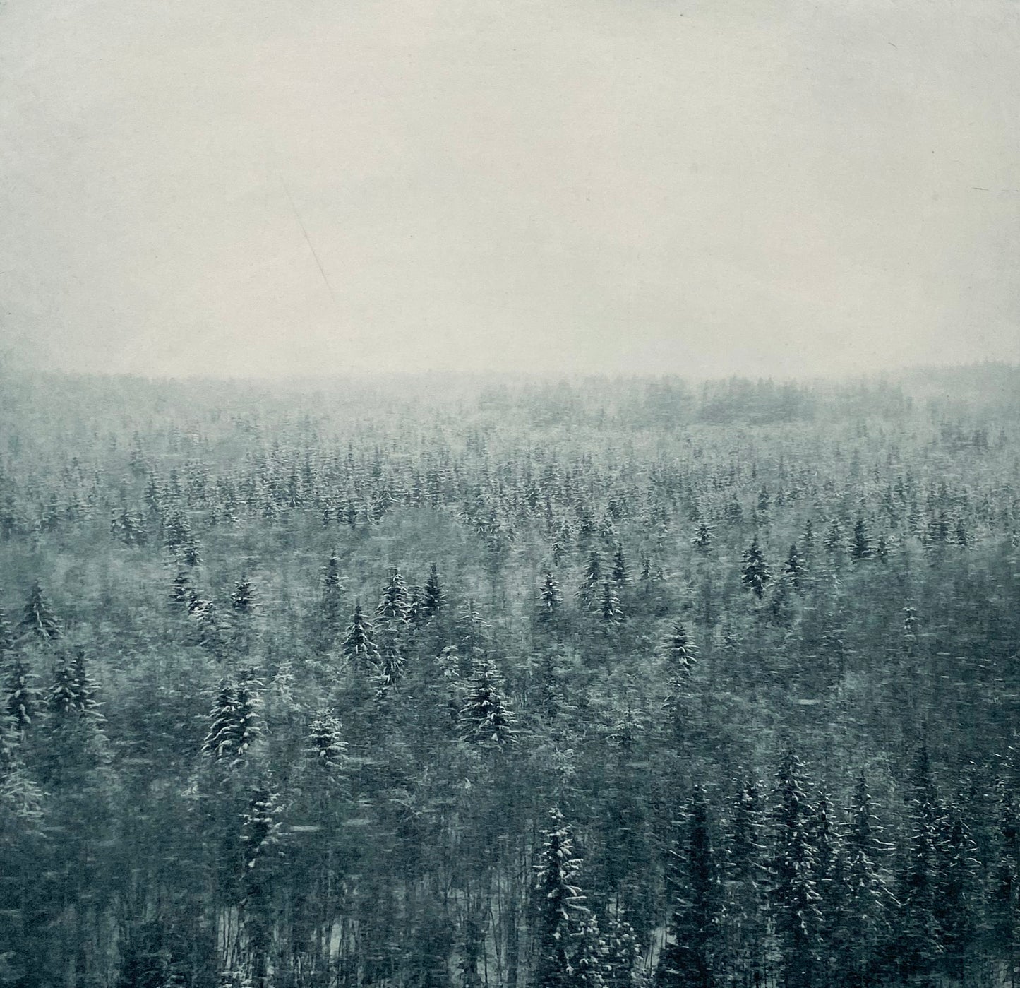 Jenny Olsson
