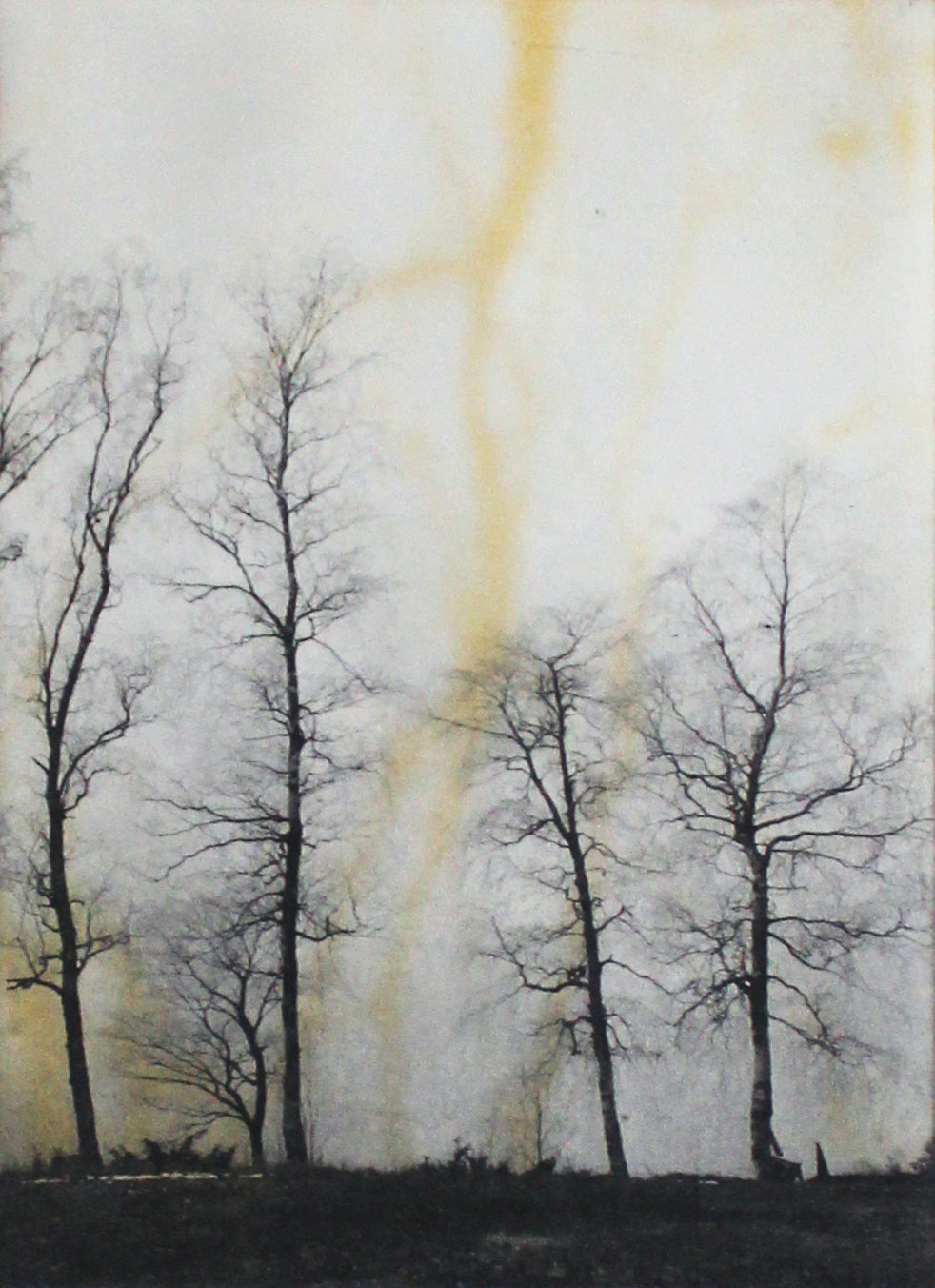 Jenny Olsson