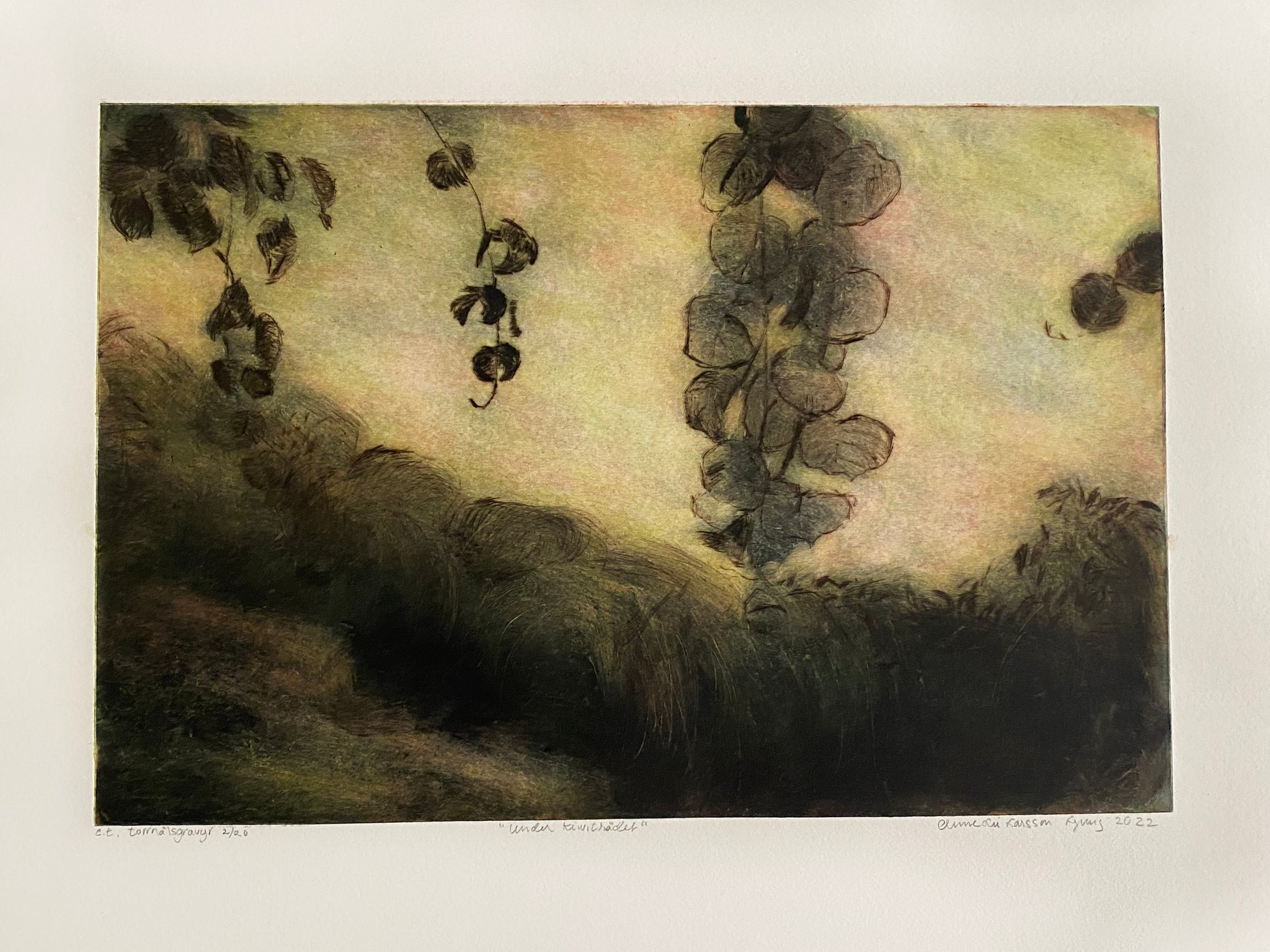 Anne-Lie Larsson Ljung