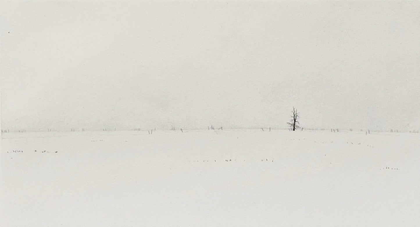 Lars Nyberg