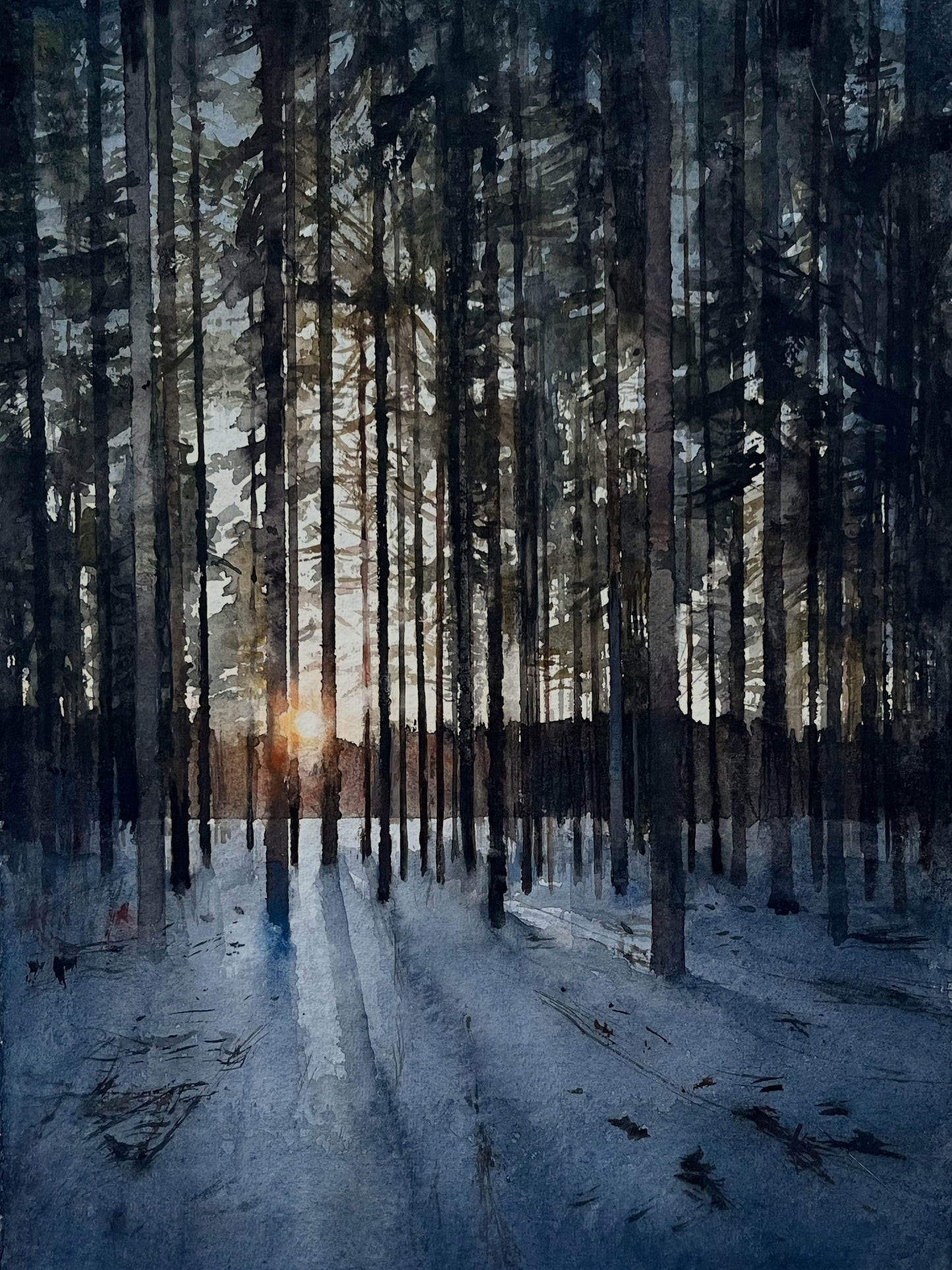 Magnus Petersson