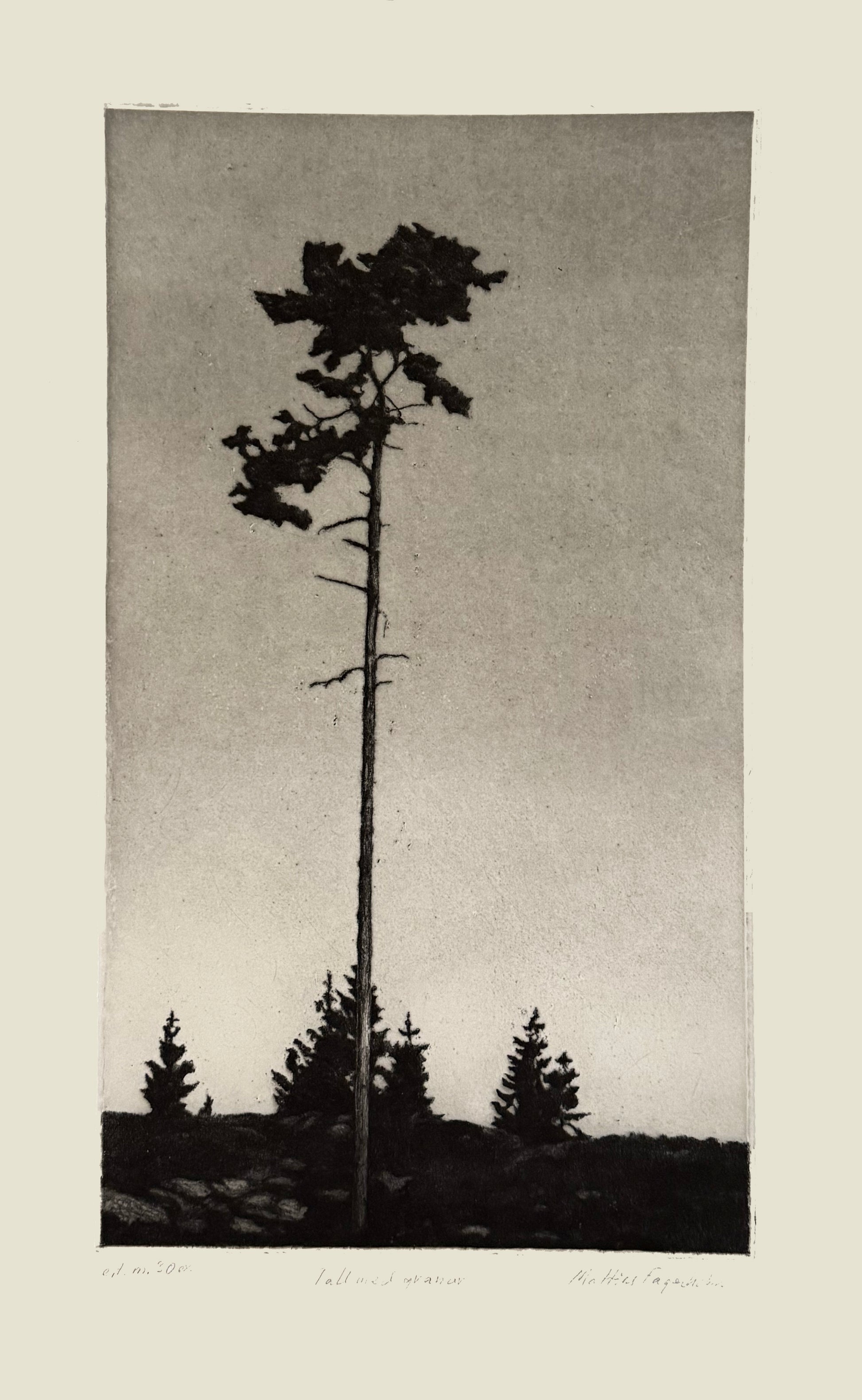 Mattias Fagerholm
