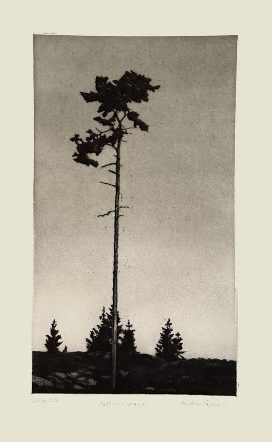 Mattias Fagerholm