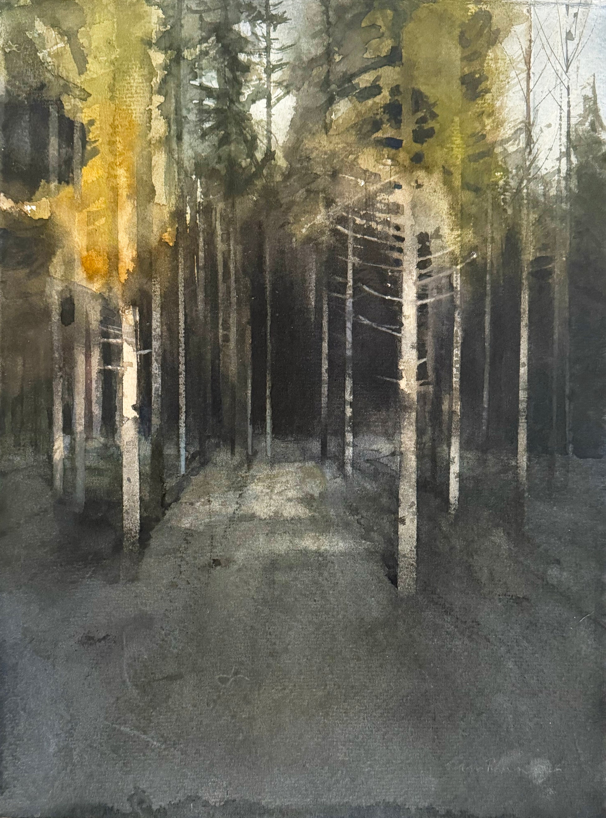 Magnus Petersson