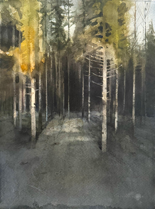 Magnus Petersson