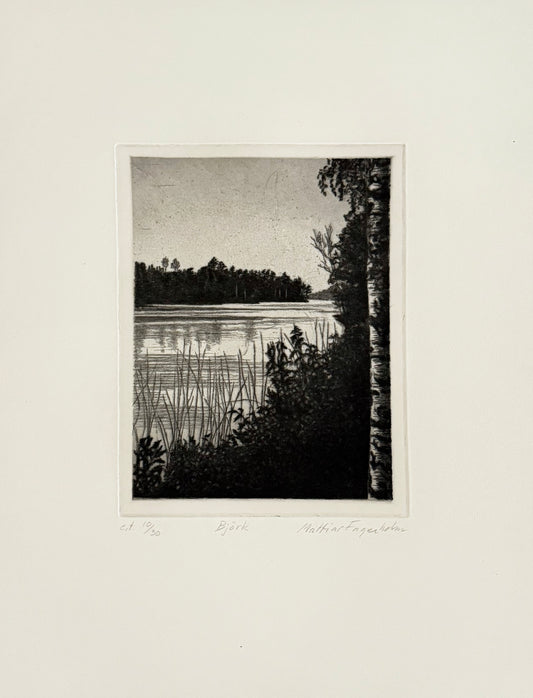 Mattias Fagerholm