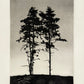 Mattias Fagerholm