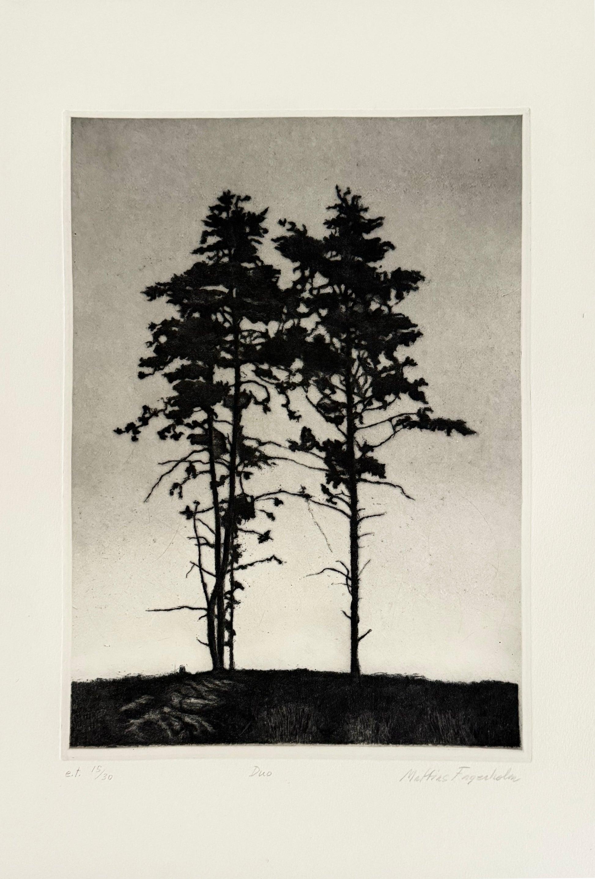 Mattias Fagerholm
