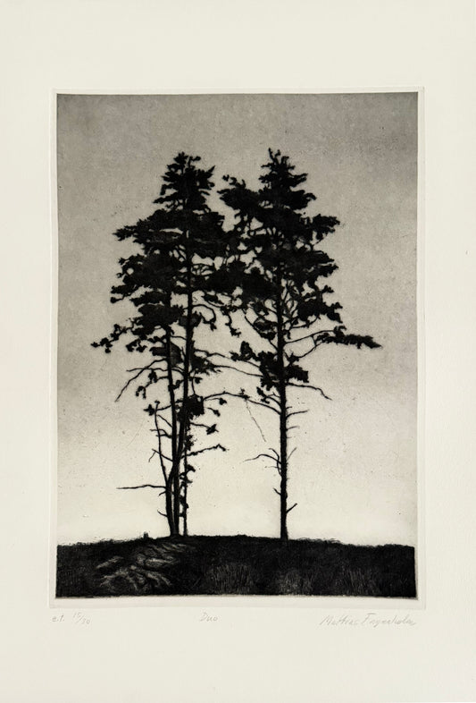 Mattias Fagerholm