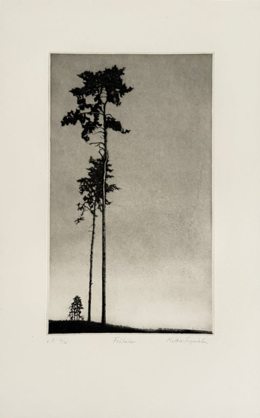 MattiasFagerholm