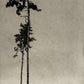 MattiasFagerholm