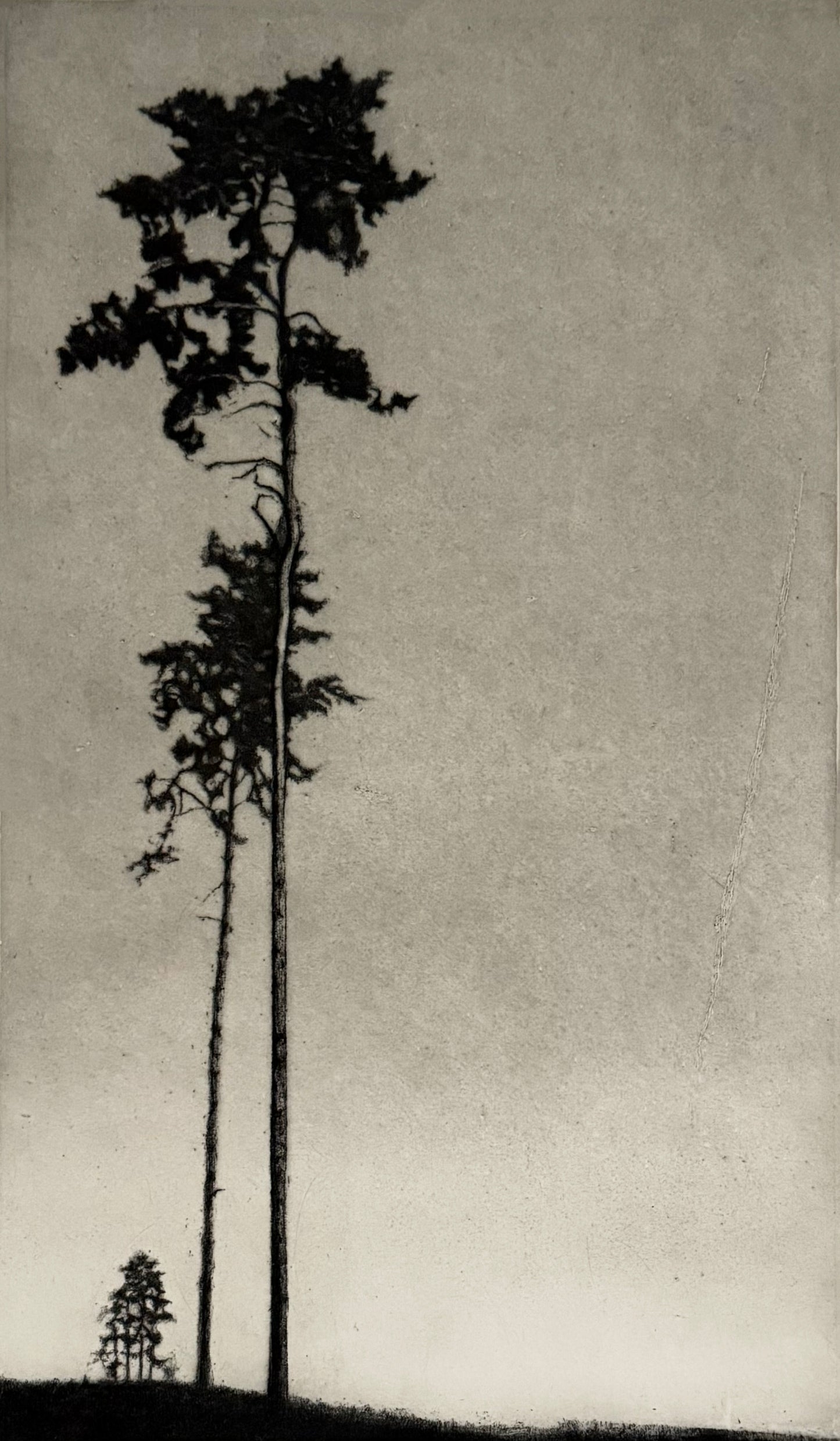 MattiasFagerholm