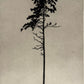 MattiasFagerholm
