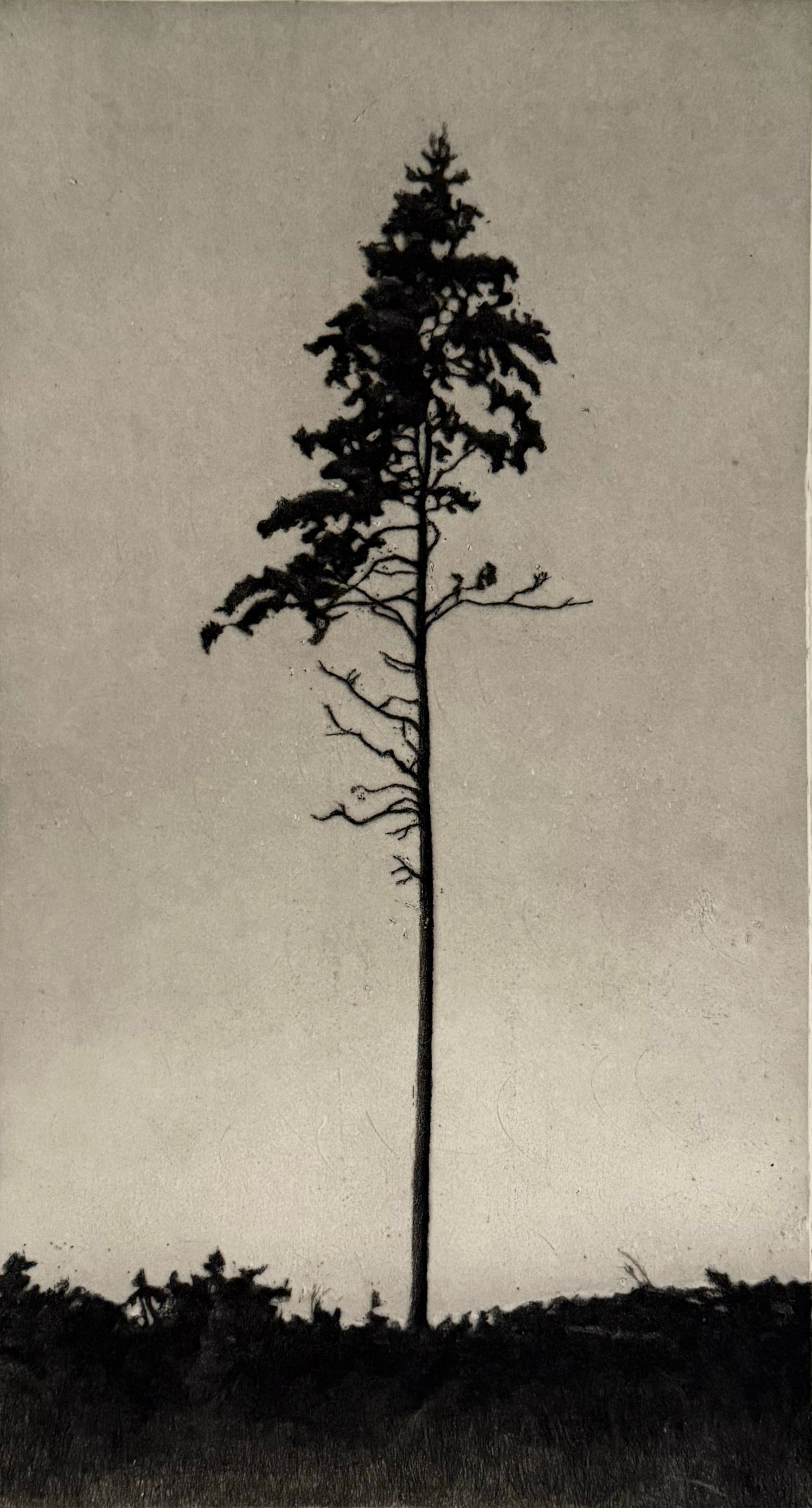 MattiasFagerholm
